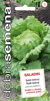 Dobrá semená Šalát celoročný ľadový - Saladin 0,6g - VÝPREDAJ
