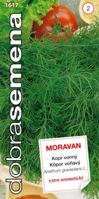 Dobrá semená Kôpor voňavý - Moravan 3g - VÝPREDAJ
