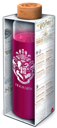 Sklenená fľaša s návlekom 585 ml, Harry Potter - VÝPREDAJ