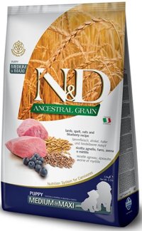 N&D ANCESTRAL GRAIN Dog LG Puppy Medium & Maxi Lamb & Blueberry 2,5 kg - VÝPREDAJ