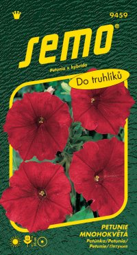 Semo Petunia veľkokvetý - Láska F1 50p - VÝPREDAJ