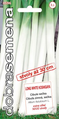 Dobrá semená Cibuľa zimná - Long White Koshigaya "pórová" 2g - VÝPREDAJ