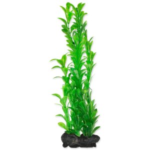 Dekorácia Tetra Rastlina Hygrophila L 30cm - VÝPREDAJ