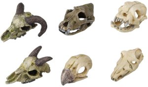 Dekorácia do akvária - lebky zvierat, mix druhov 7-10cm Aqua Della - VÝPREDAJ