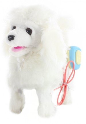 Chodiaci psík - VÝPREDAJ