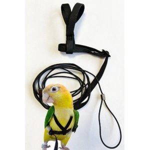Traky s vodítkom pre papagáje XXS - VÝPREDAJ