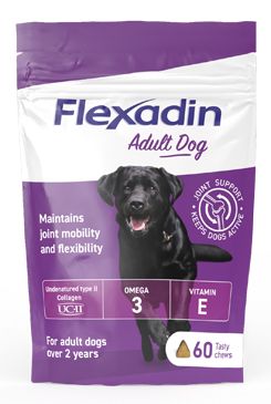 Flexadin Adult Dog žuvací 60tbl - VÝPREDAJ