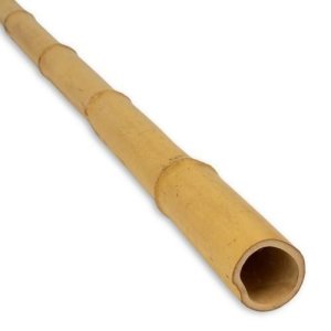 podpera bambusová priemer 10/12mm, dĺžka 105cm - VÝPREDAJ