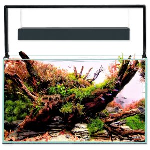 Akvarijný set Aquael Ultrascape 60 forest, 64,8 l - mix variantov či farieb - VÝPREDAJ